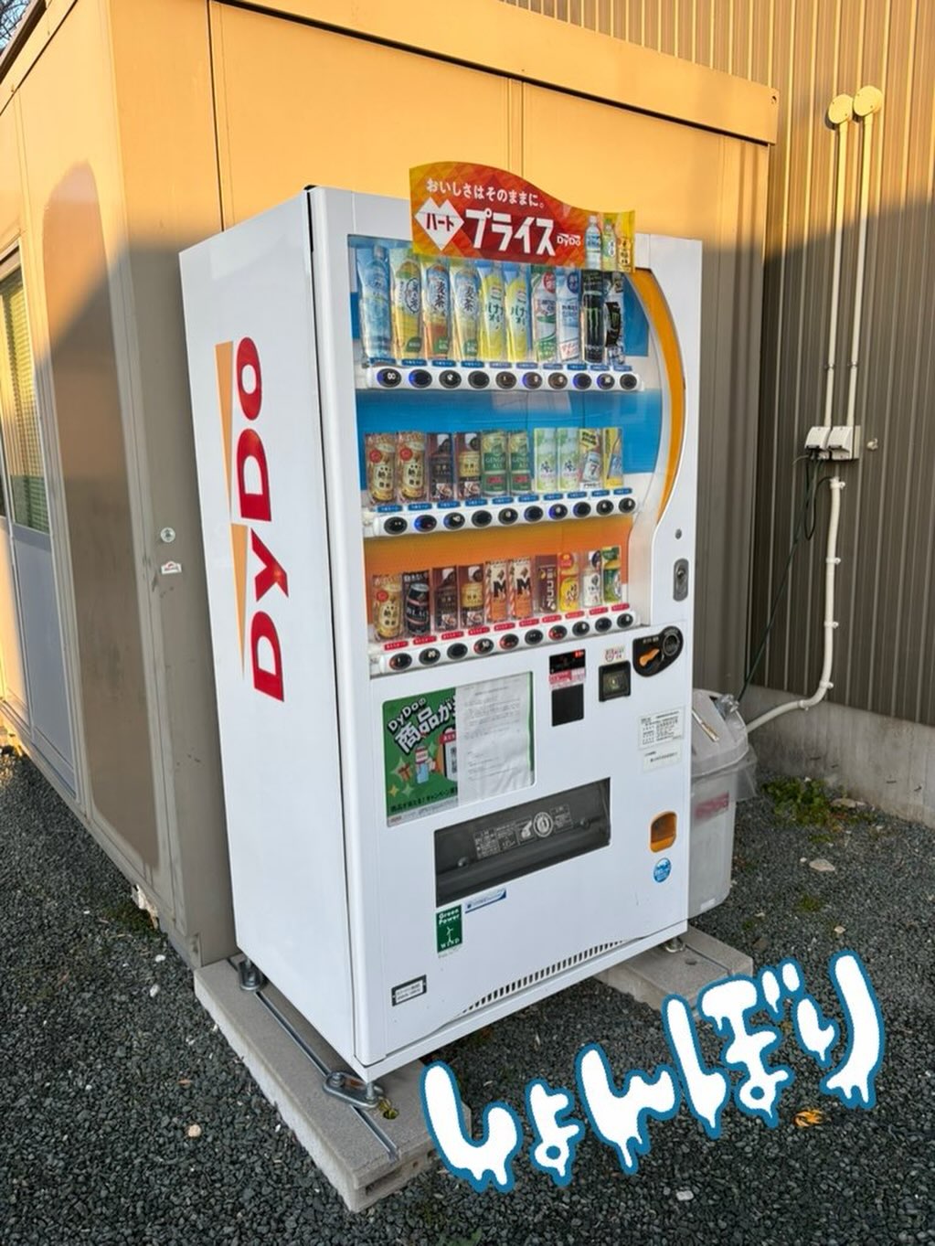 悲しいことに自販機が売上低迷により撤去されてしまうことが決定しました🥺
自販機自前で買うしかないのかー！？

#浄泉寺